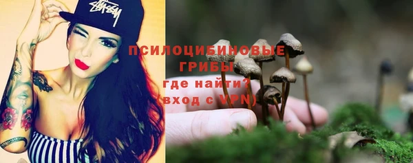 эйфоретик Козловка