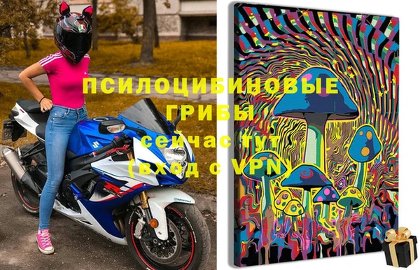 эйфоретик Костерёво
